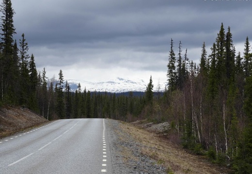 Skandinavien (47 von 590)